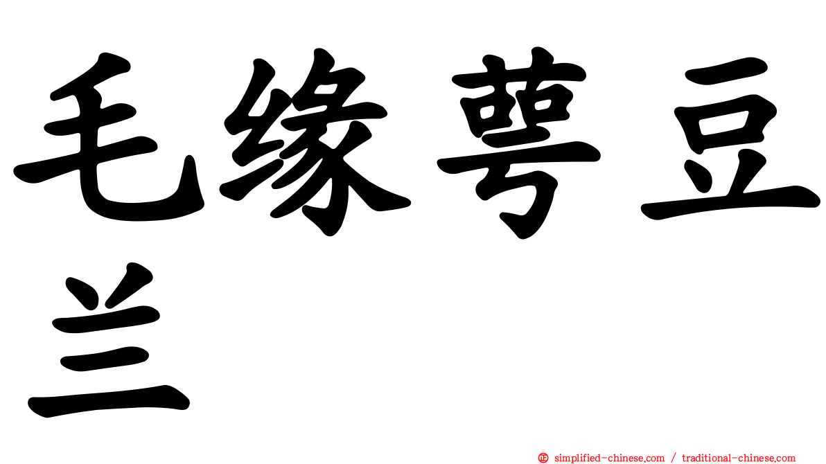 毛缘萼豆兰