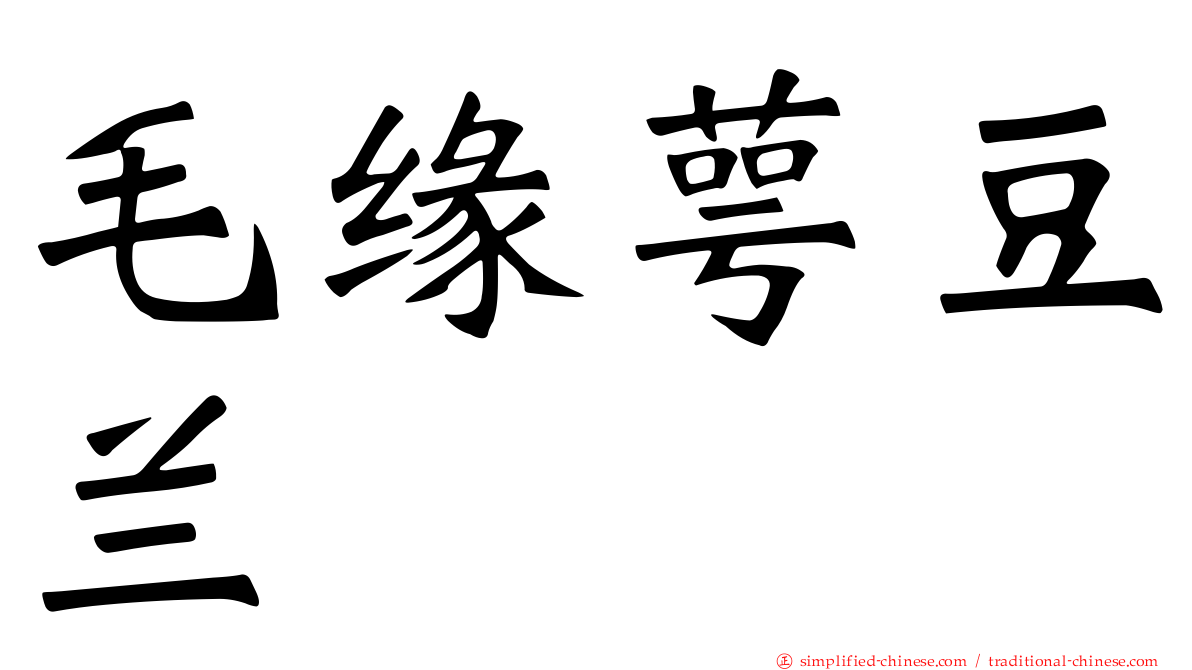 毛缘萼豆兰