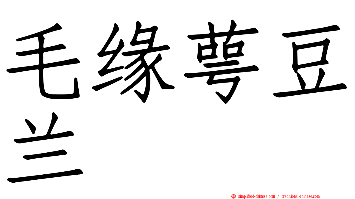 毛缘萼豆兰