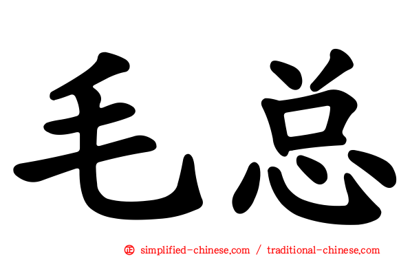 毛总