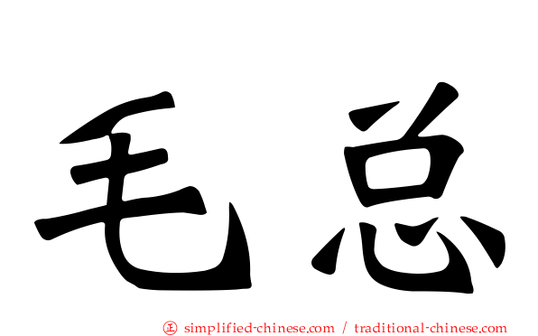 毛总