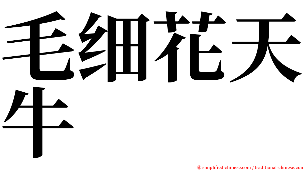 毛细花天牛 serif font