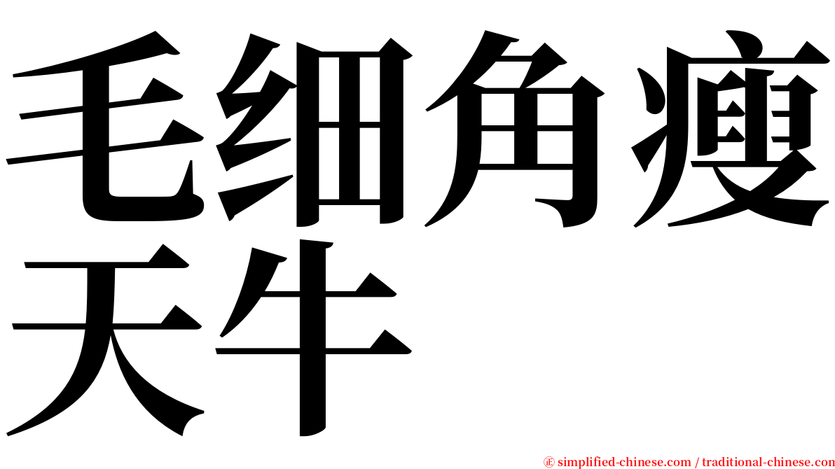 毛细角瘦天牛 serif font