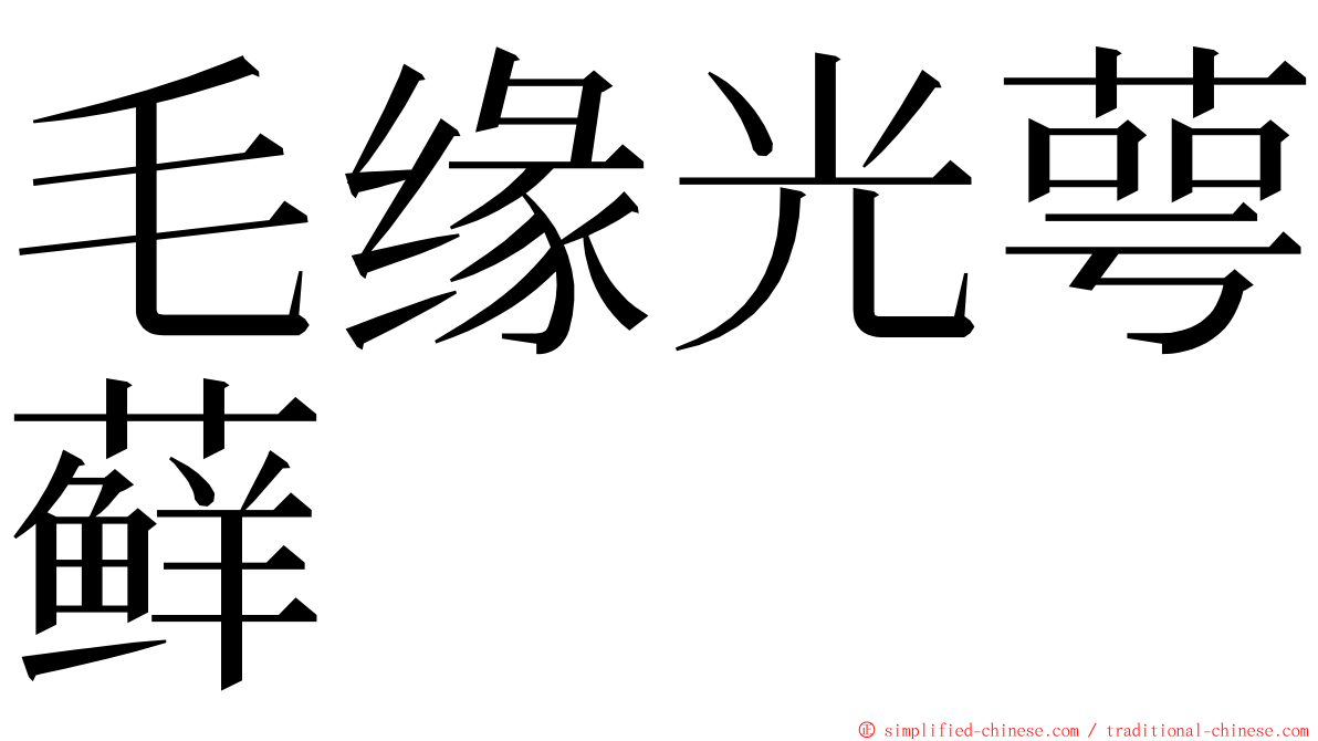 毛缘光萼藓 ming font