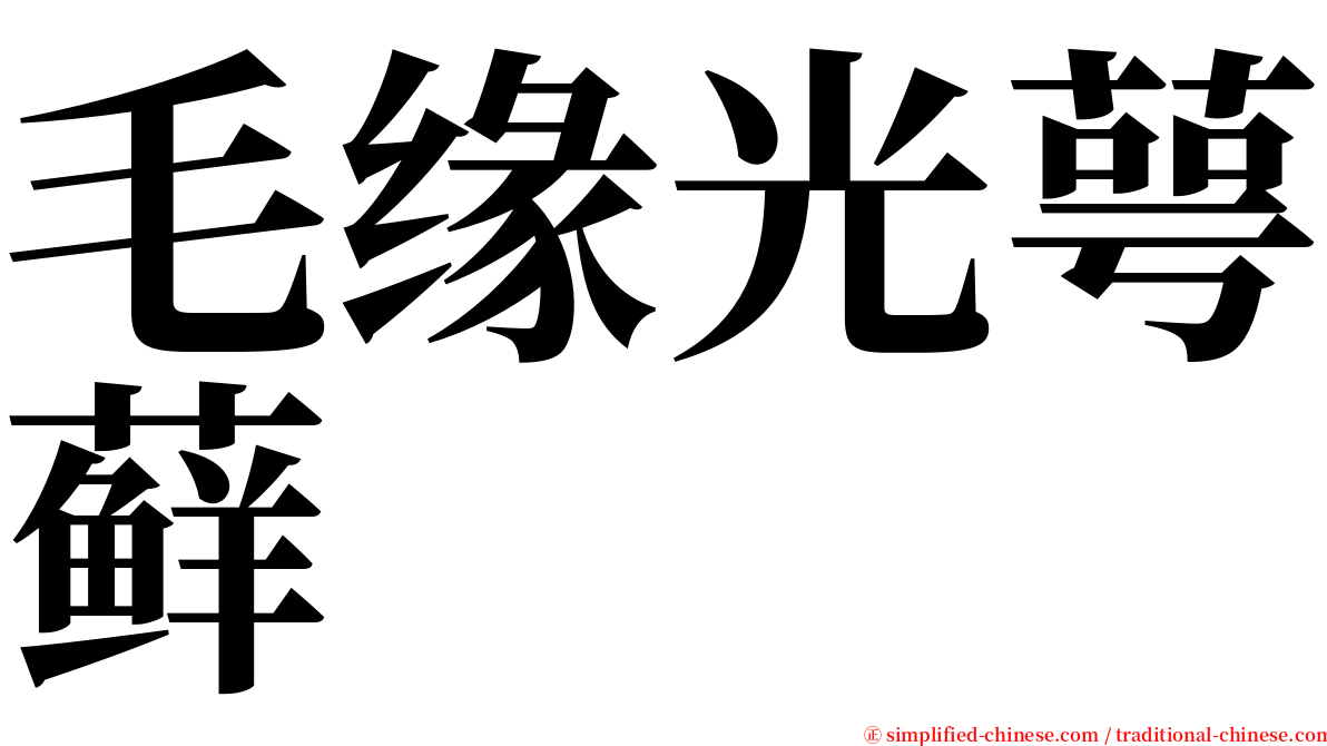 毛缘光萼藓 serif font