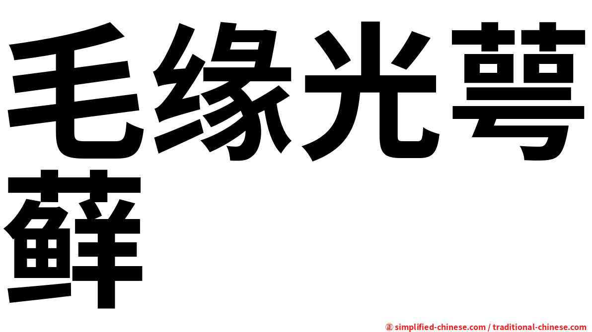 毛缘光萼藓