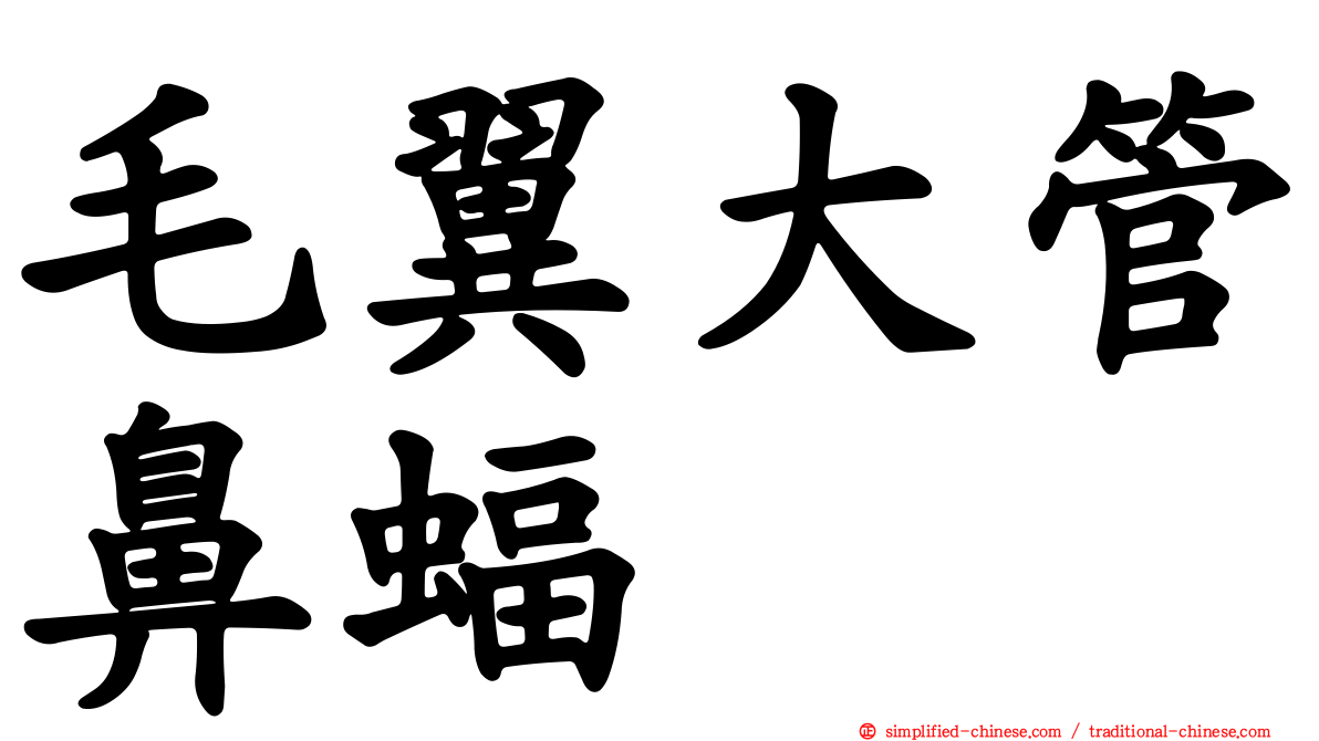 毛翼大管鼻蝠
