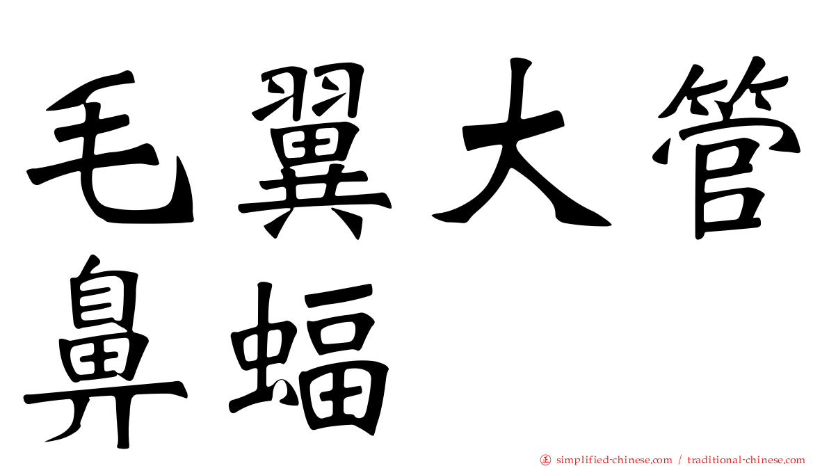 毛翼大管鼻蝠