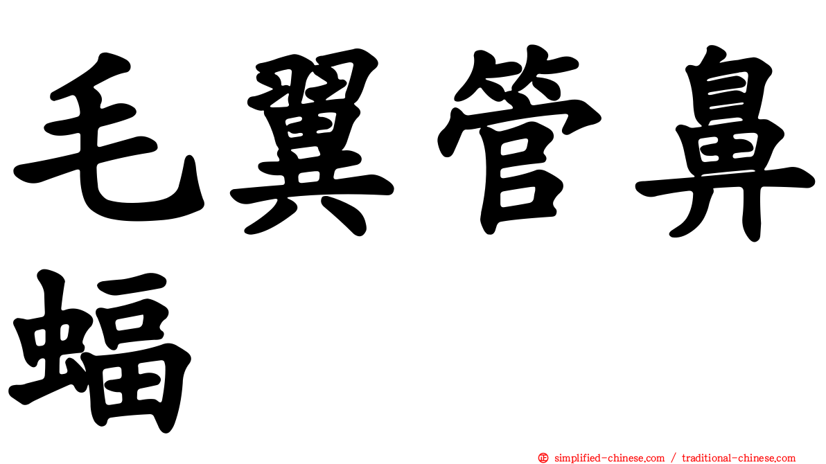 毛翼管鼻蝠