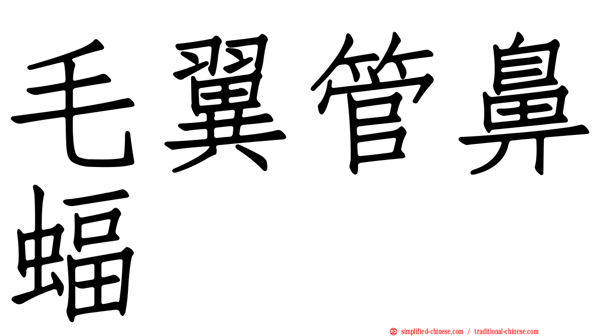 毛翼管鼻蝠