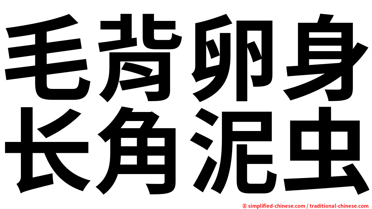 毛背卵身长角泥虫