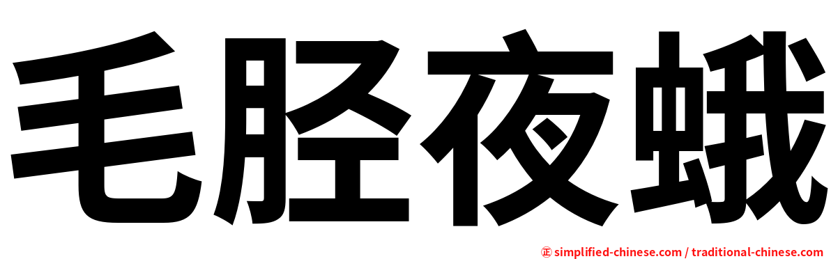 毛胫夜蛾