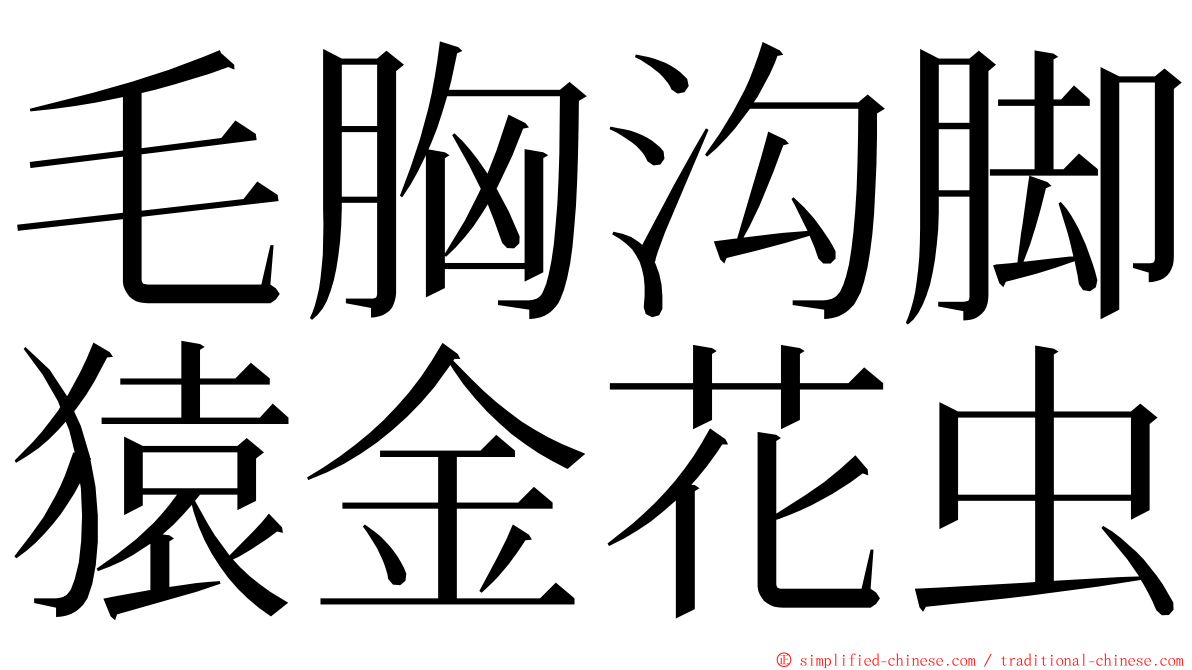 毛胸沟脚猿金花虫 ming font