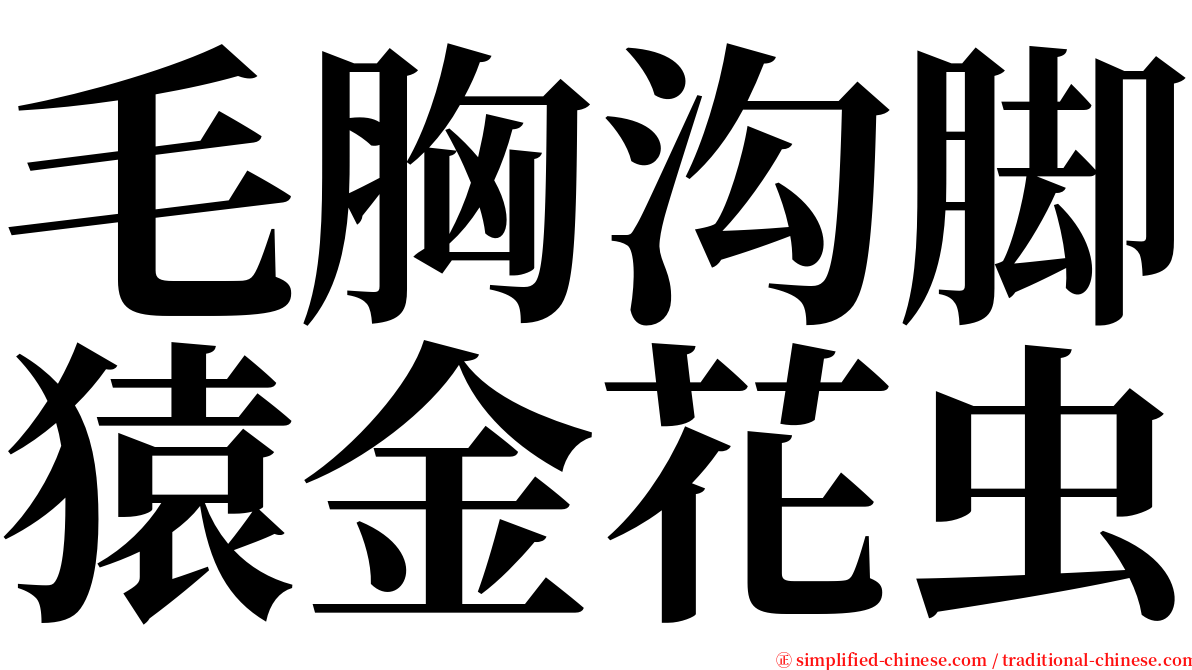 毛胸沟脚猿金花虫 serif font