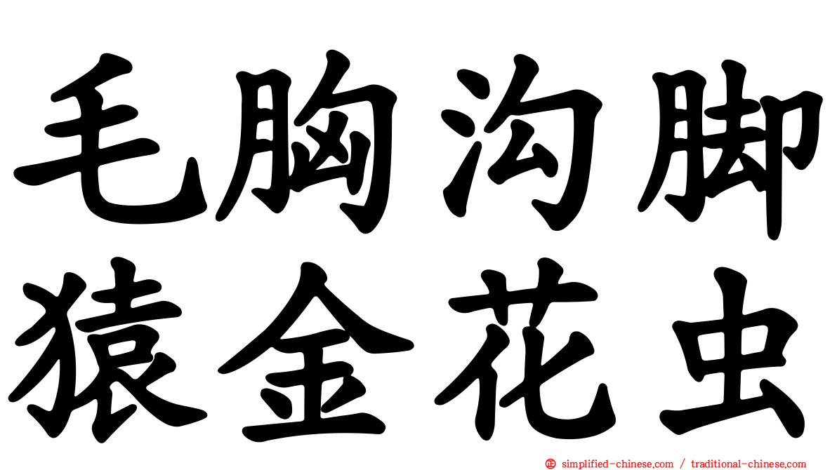 毛胸沟脚猿金花虫