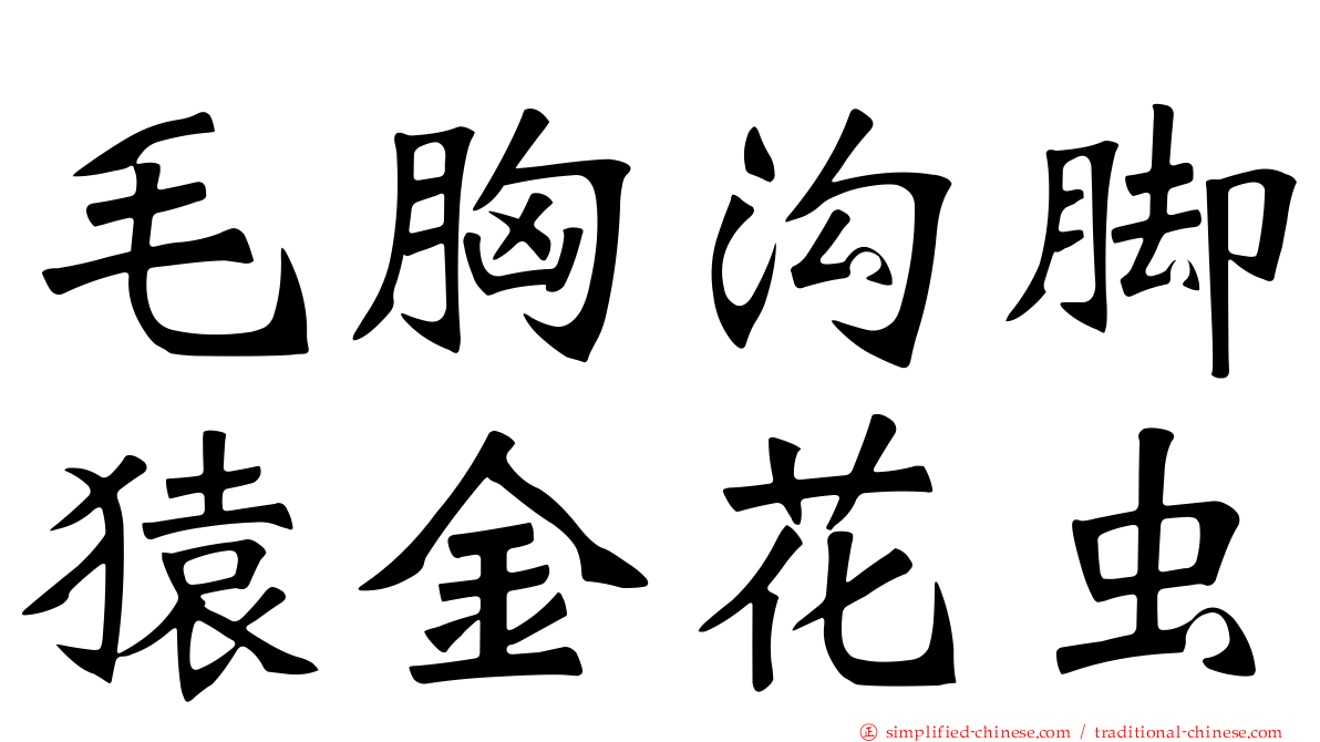 毛胸沟脚猿金花虫