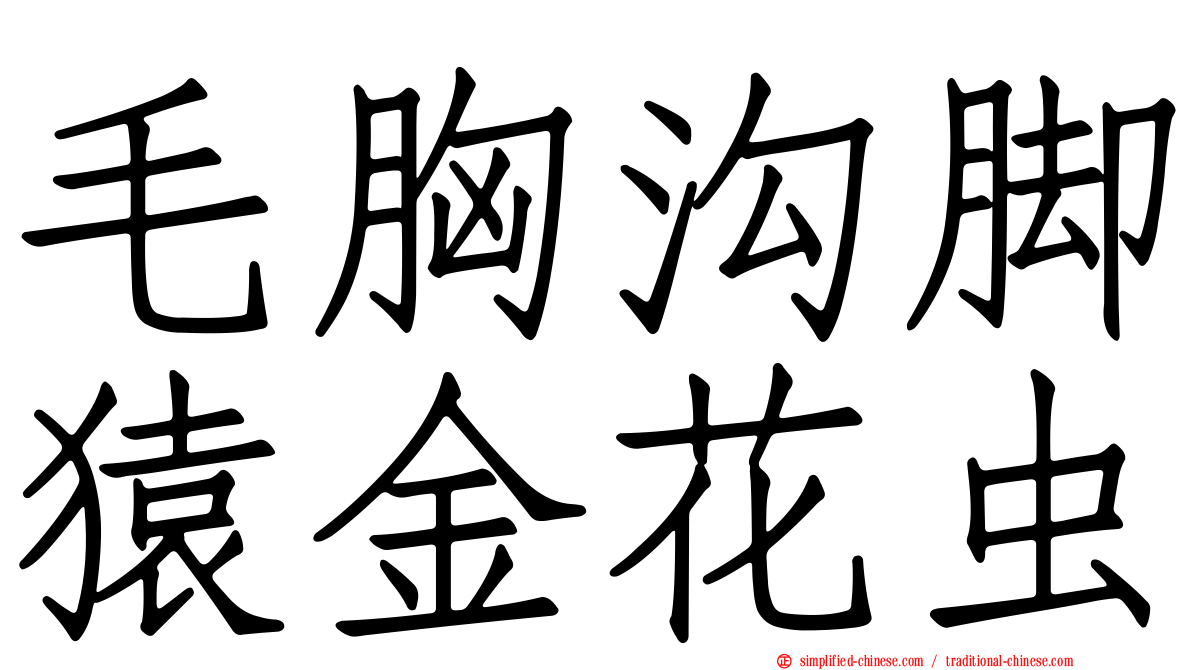 毛胸沟脚猿金花虫