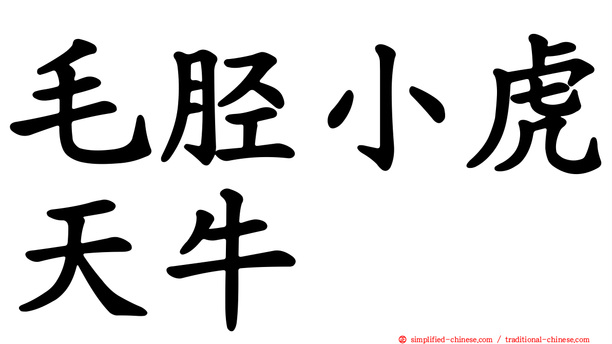 毛胫小虎天牛