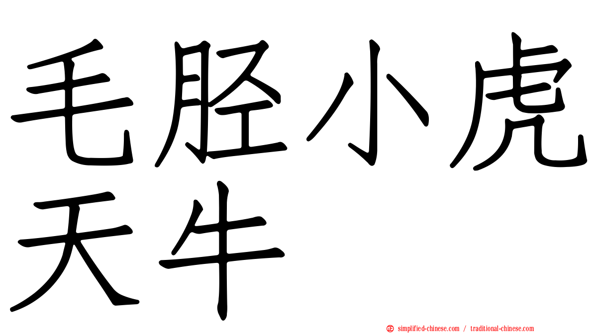 毛胫小虎天牛