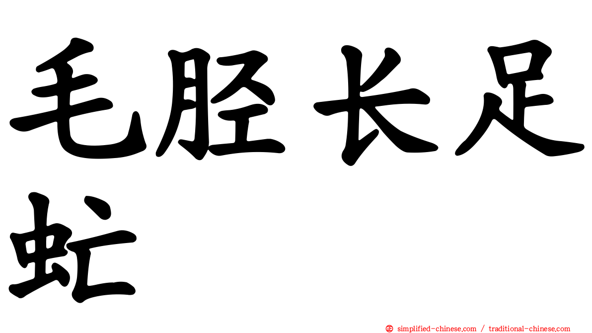 毛胫长足虻