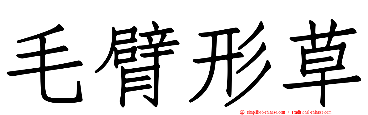 毛臂形草