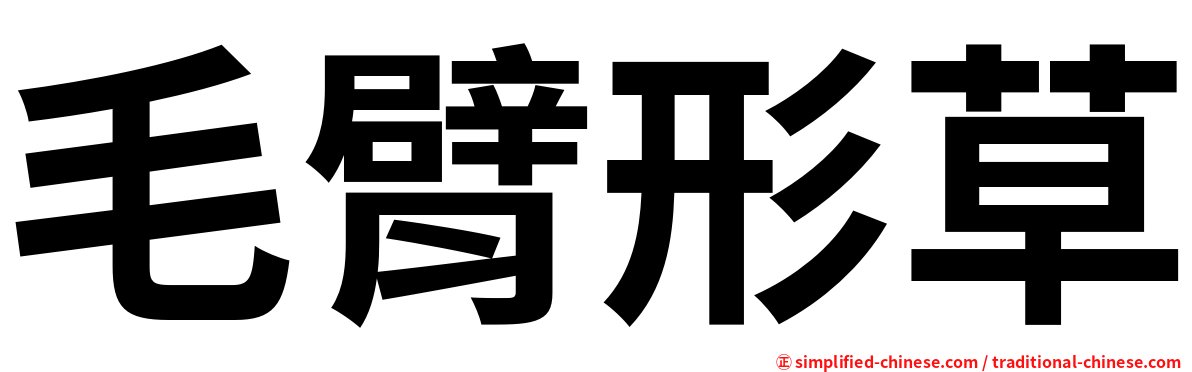 毛臂形草