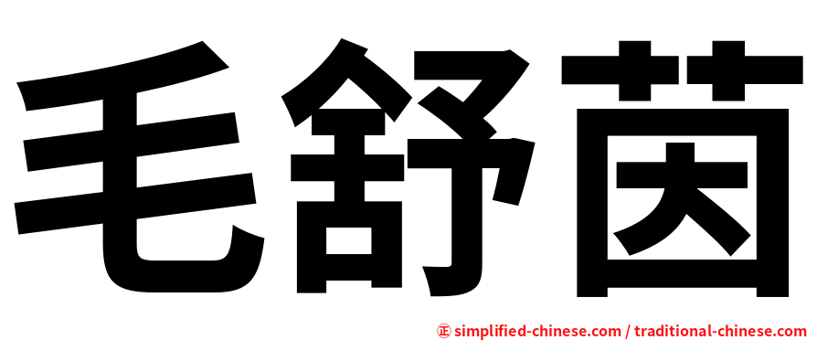 毛舒茵