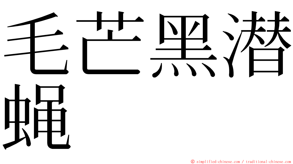 毛芒黑潜蝇 ming font