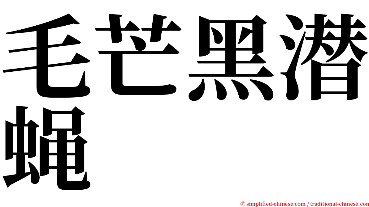 毛芒黑潜蝇 serif font