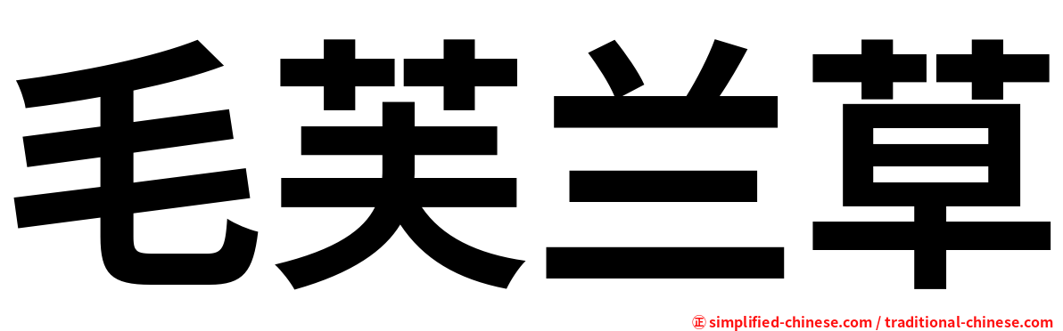毛芙兰草