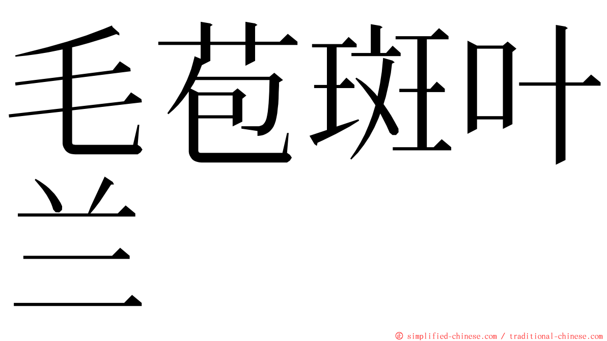 毛苞斑叶兰 ming font