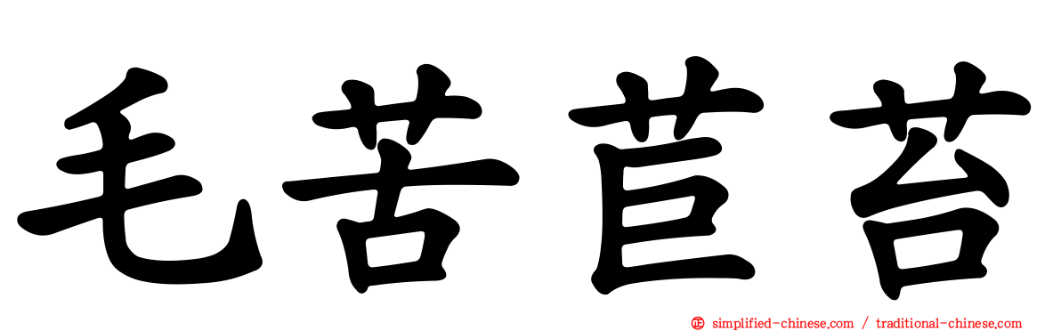 毛苦苣苔