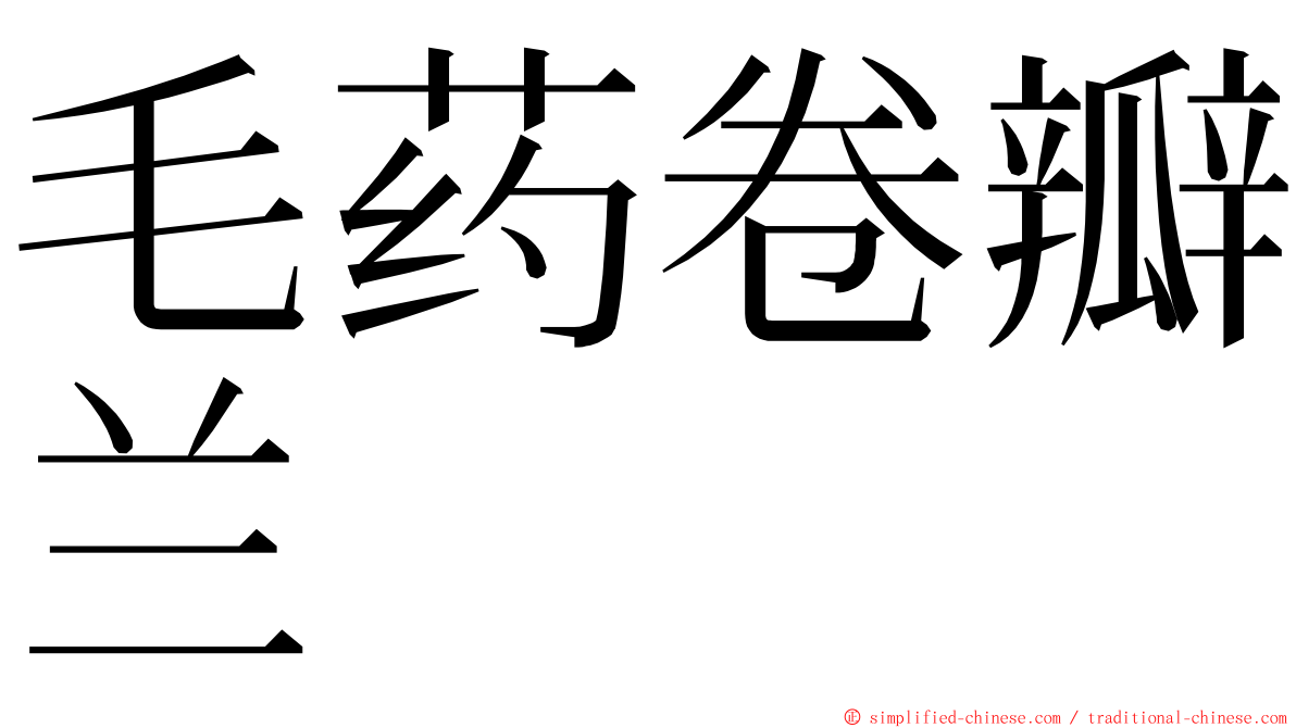 毛药卷瓣兰 ming font