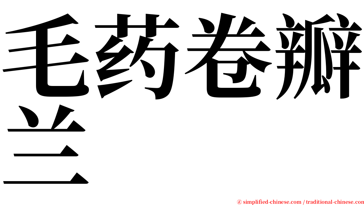 毛药卷瓣兰 serif font