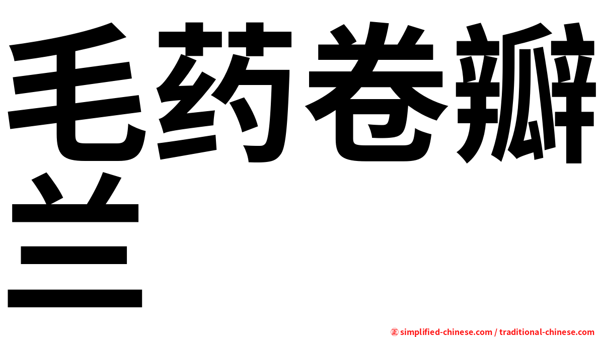 毛药卷瓣兰