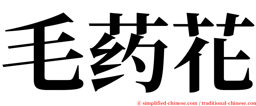 毛药花 serif font
