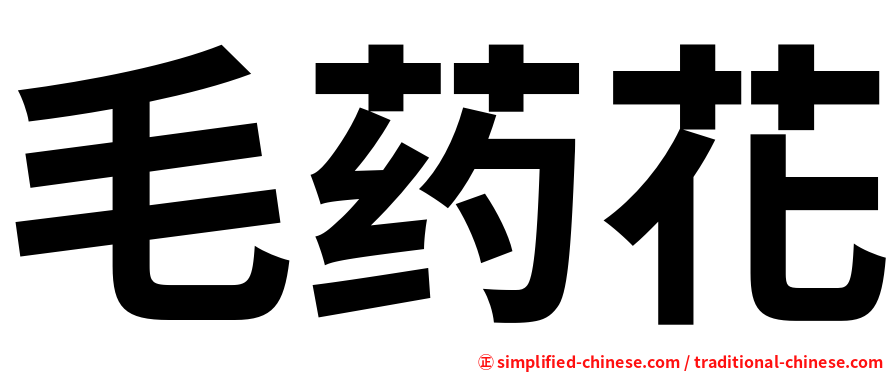 毛药花