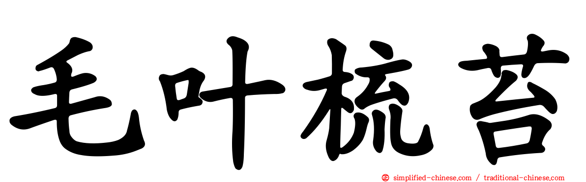 毛叶梳苔