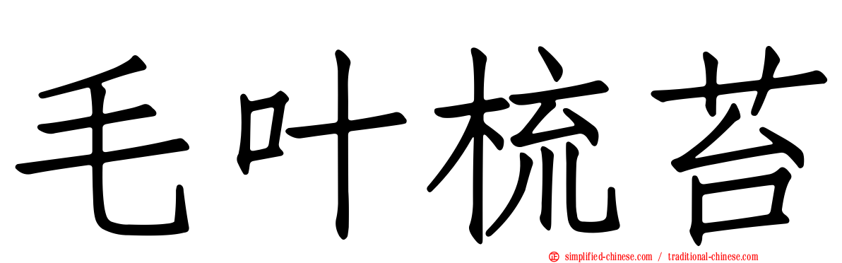 毛叶梳苔