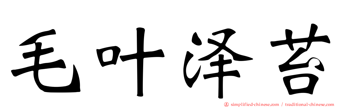 毛叶泽苔
