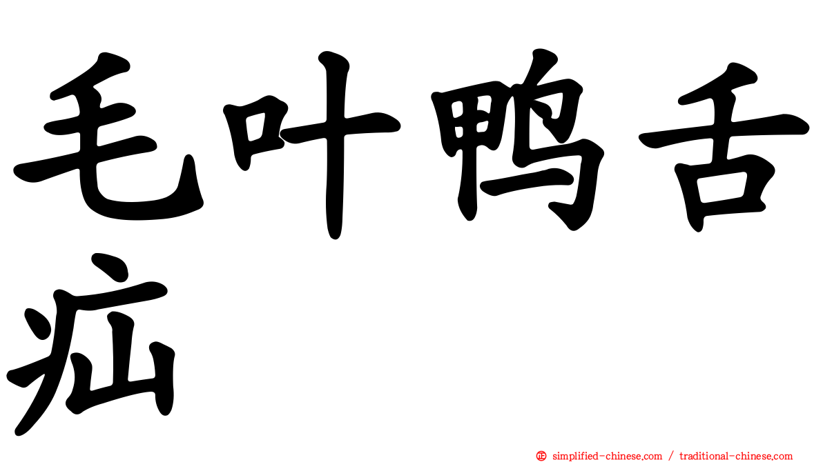 毛叶鸭舌疝