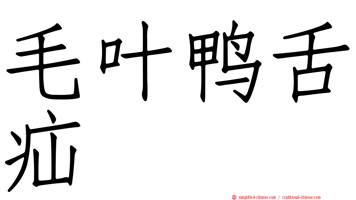 毛叶鸭舌疝