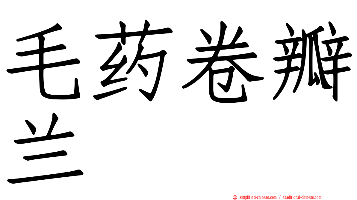 毛药卷瓣兰