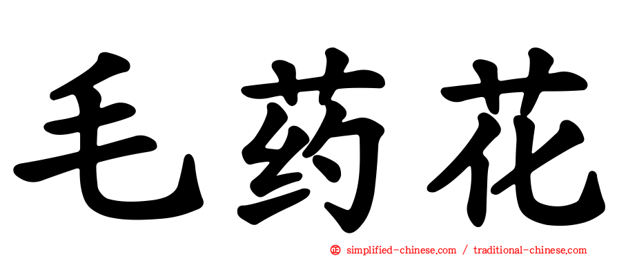 毛药花