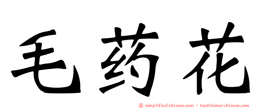 毛药花