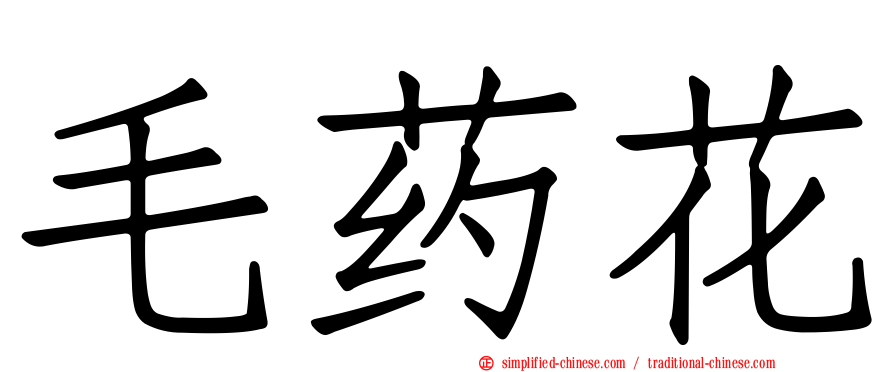 毛药花