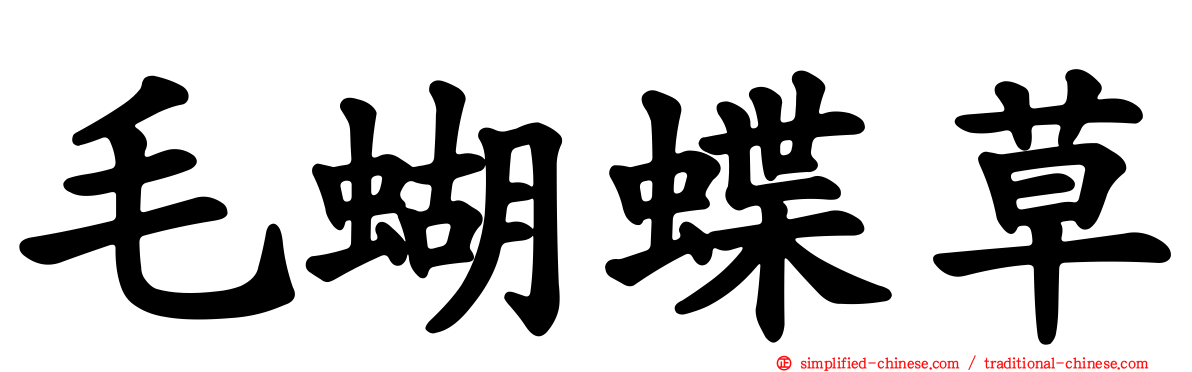 毛蝴蝶草