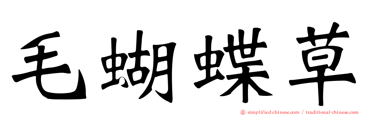 毛蝴蝶草