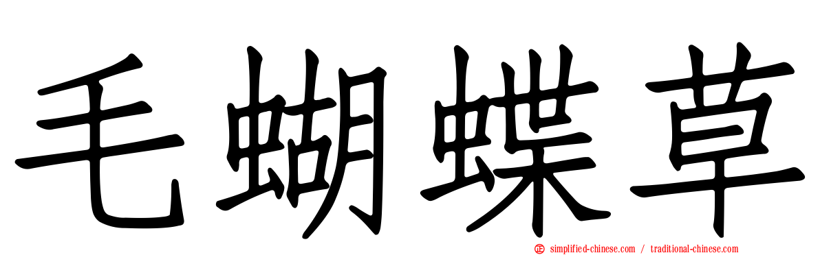 毛蝴蝶草