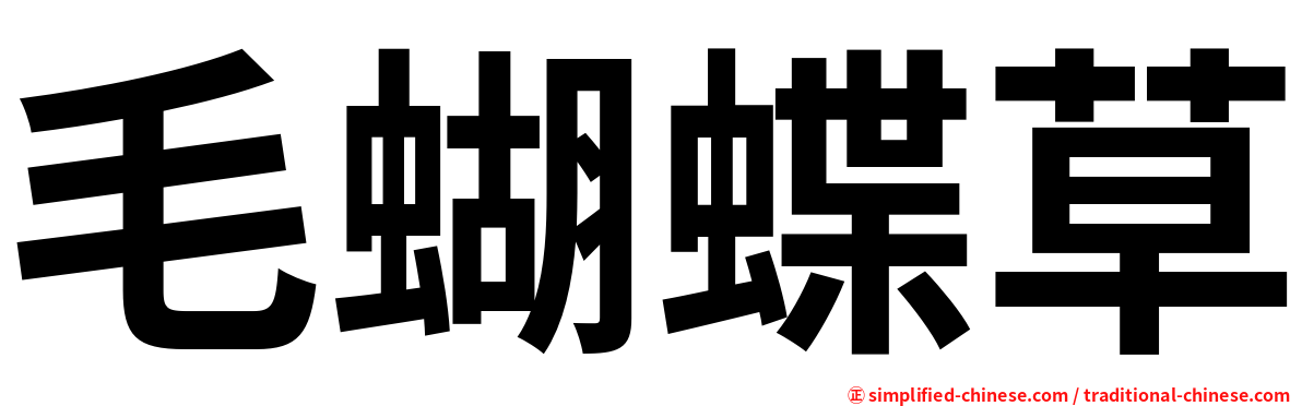 毛蝴蝶草